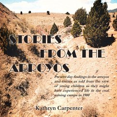 Cover Stories from the Arroyos (eBook, ePUB)