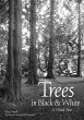 Trees in Black & White (eBook, ePUB) - Bild 1