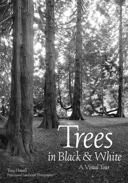 Trees in Black & White (eBook, ePUB) Trees in Black & White (eBook, ePUB)