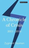 A Chronicle of Crisis (eBook, ePUB)