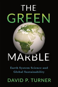 The Green Marble (eBook, ePUB) - Turner, David