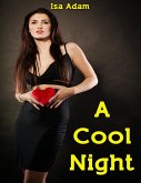 A Cool Night (eBook, ePUB)
