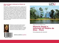 Minería Ilegal e Informal en Madre de Dios - Perú - Beltrán Pastor, Mónica del Carmen