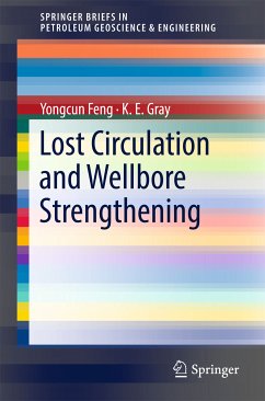 Lost Circulation and Wellbore Strengthening (eBook, PDF) - Feng, Yongcun; Gray, K. E.
