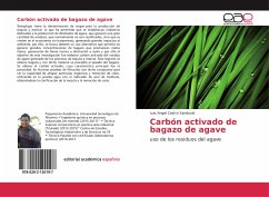 Carbón activado de bagazo de agave - Castro Sandoval, Luis Angel