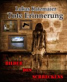 Tote Erinnerung (eBook, ePUB)