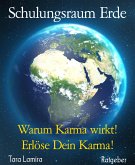 Schulungsraum Erde (eBook, ePUB)