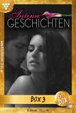 6er Jubiläumsbox (eBook, ePUB)