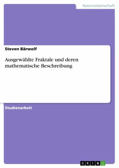 Ausgewählte Fraktale und deren mathematische Beschreibung (eBook, PDF) - Bärwolf, Steven