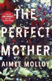 The Perfect Mother (eBook, ePUB)