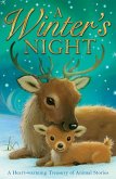 A Winter's Night (eBook, ePUB)