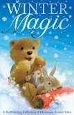 Winter Magic (eBook, ePUB)