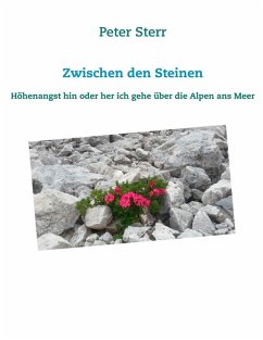 Zwischen den Steinen (eBook, ePUB) - Sterr, Peter