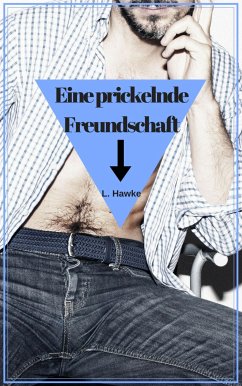 Eine prickelnde Freundschaft (eBook, ePUB) - Hawke, L.