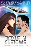 Tied up in Customs (The Department of Homeworld Security, #4) (eBook, ePUB)