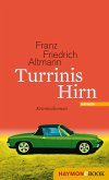 Turrinis Hirn (eBook, ePUB)