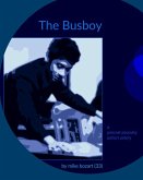 The Busboy (eBook, ePUB)