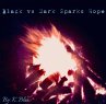 Black vs Dark Sparks Hope (eBook, ePUB) - Bild 1