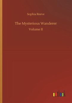 The Mysterious Wanderer