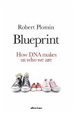 Blueprint (eBook, ePUB)