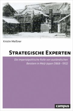 Strategische Experten - Meißner, Kristin