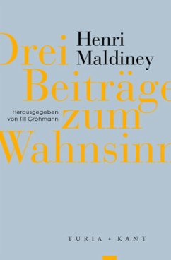 Cover Drei Beiträge zum Wahnsinn
