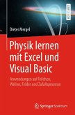 Physik lernen mit Excel und Visual Basic