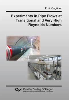 Experiments in Pipe Flows at Transitional and Very High Reynolds Numbers - Öngüner, Emir