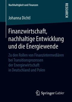 Finanzwirtschaft, nachhaltige Entwicklung und die Energiewende - Dichtl, Johanna