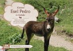 Kleiner Esel Pedro in Gefahr. Kamishibai Bildkartenset