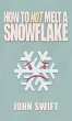 How Not to Melt A Snowflake - Bild 1