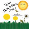 Why Dandelions Grow - Bild 1