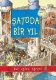 Satoda Bir Yil