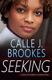 Seeking (PAVAD: FBI Romantic Suspense, #17) (eBook, ePUB)