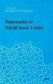 Habenneke ve Nüzul Sirali Tefsiri