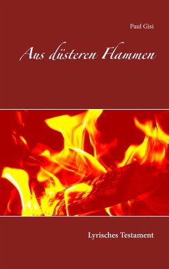 Aus düsteren Flammen (eBook, ePUB)