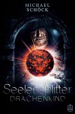 Drachenkind / Seelensplitter Bd.3 (eBook, ePUB)