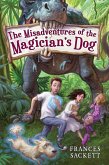 The Misadventures of the Magician's Dog (eBook, ePUB)