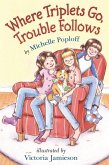 Where Triplets Go, Trouble Follows (eBook, ePUB)