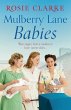 Mulberry Lane Babies (eBook, ePUB) - Bild 1