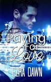 Paying For Love (eBook, ePUB)