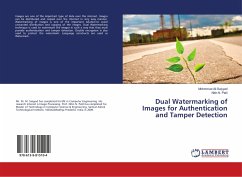 Dual Watermarking of Images for Authentication and Tamper Detection