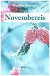 Novembereis - Bild 1