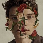 Shawn Mendes, 1 Audio-CD (Ltd. Fan Box)