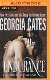 Endurance: A Sin Series Standalone Novel