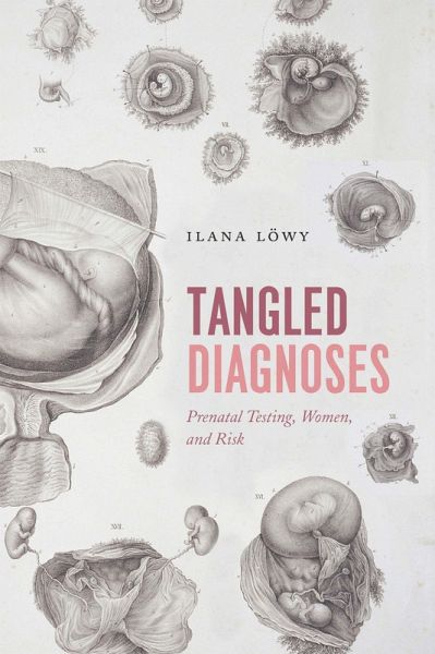 Tangled Diagnoses (eBook, ePUB)