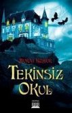 Tekinsiz Okul