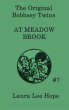 The Bobbsey Twins at Meadow Brook - Bild 1