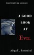 A Good Look at Evil - Bild 1