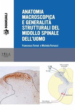 Anatomia macroscopica e generalità strutturali del midollo spinale dell'uomo - Fornai, Francesco; Ferrucci, Michela